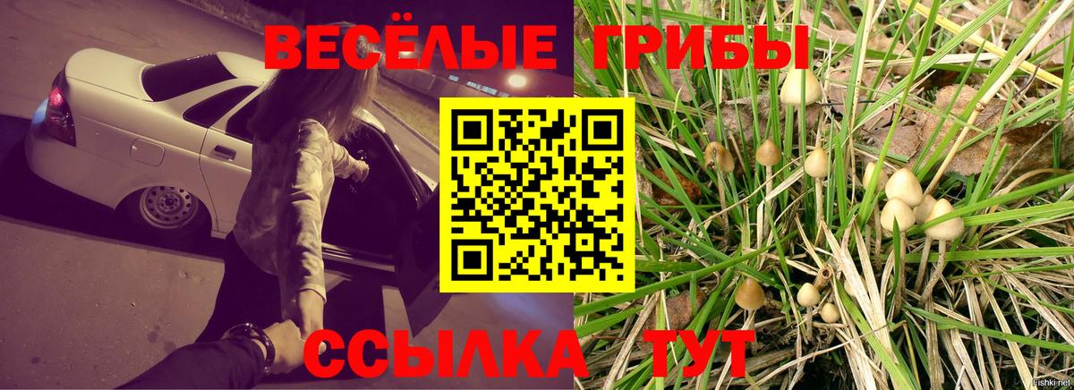 Кузнецк  Галлюциногенные грибы Cubensis  Вход с VPN 
