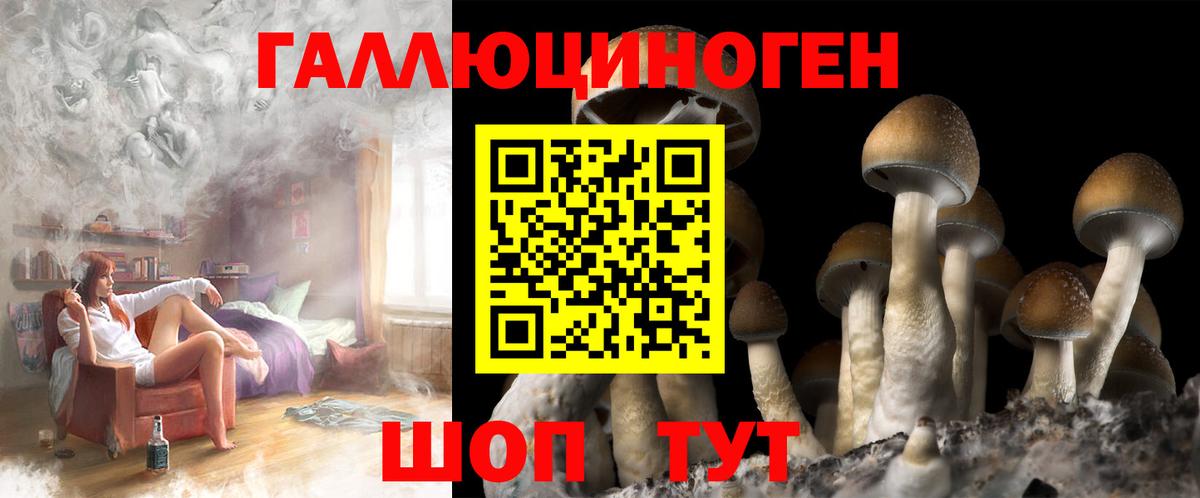 Галлюциногенные грибы прущие грибы Кузнецк